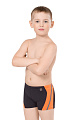 Плавки-шорты детские LS 44-73
