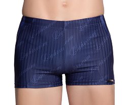 Плавки-шорты мужские LS 88-132